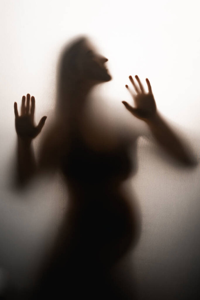 belle silhouette d'une femme enceinte en studio sur fond clair - Photo, image