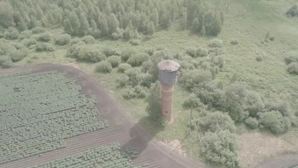 Oroszország, Ural. Repül a mezők felett. A burgonyatermesztés sorai. Régi vörös téglás víztorony. 4K - Felvétel, videó