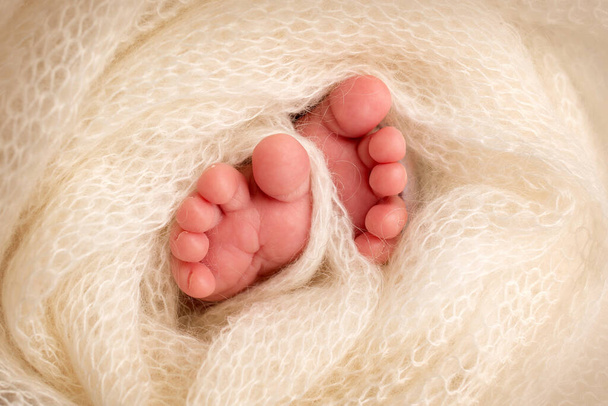 Voeten van een pasgeboren close-up in een wollen deken. Zwangerschap, moederschap, voorbereiding en verwachting van het moederschap, het concept van de geboorte van een kind.  - Foto, afbeelding