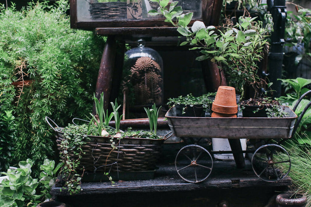 Prázdné hliněné terakotové květináče v deštivé zahradě. Autentické zahradnické nářadí na dřevě, zahradní zázemí, venkovní a prostorové, retro styl - Fotografie, Obrázek