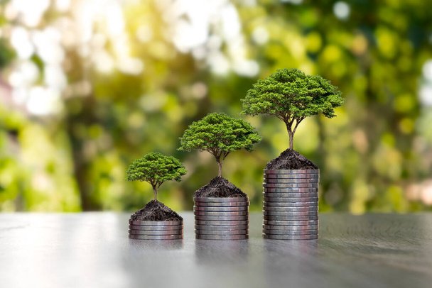 Munten en planten worden geteeld op een stapel munten voor financiën en bankieren. Het idee om geld te besparen en de financiën te verhogen. - Foto, afbeelding