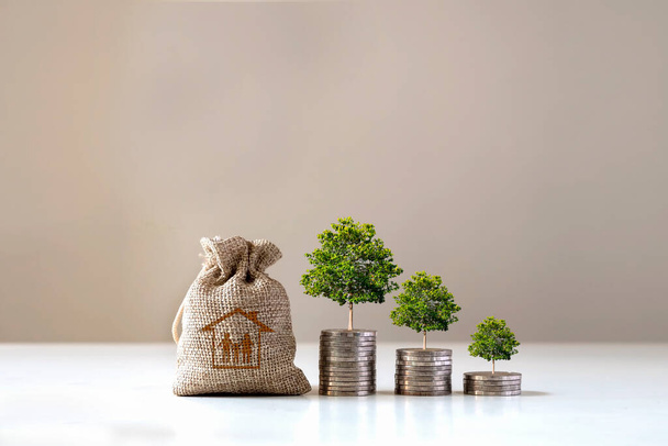 Árvores crescem em pilhas de dinheiro e sacos para economizar dinheiro para comprar uma casa, ideias financeiras e condições econômicas. - Foto, Imagem