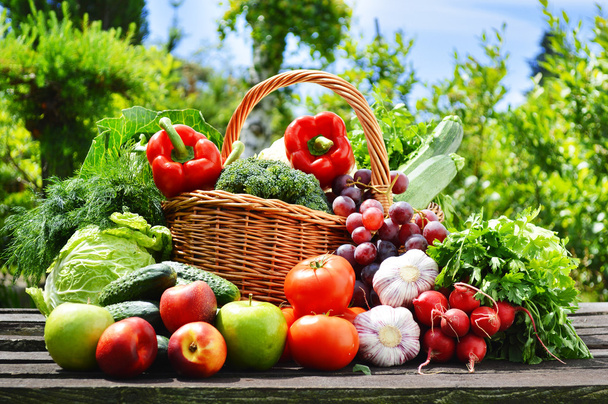 verse biologische groenten in rieten mand in de tuin - Foto, afbeelding