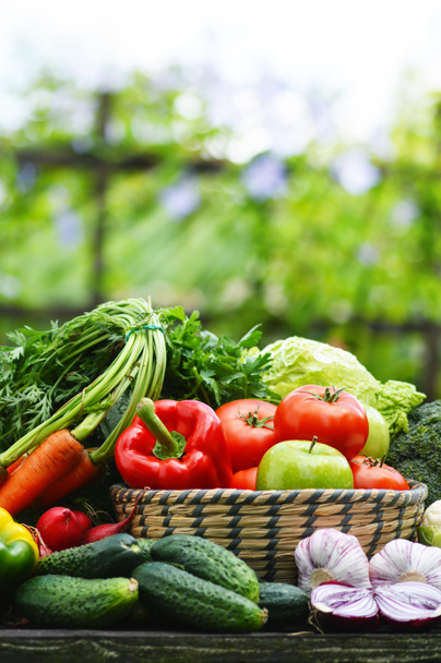 Свіжі органічні овочі в плетеному кошику в саду
 - Фото, зображення
