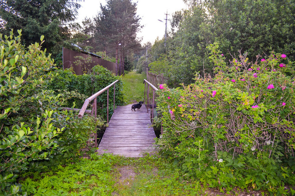 Un ponte di legno con ringhiere attraverso un piccolo fiume - Foto, immagini
