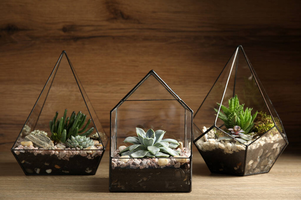 Glass florarium vases with succulents on wooden table - Photo, Image