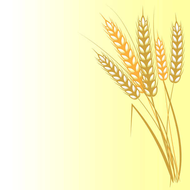 Пшеничные уши на желтом фоне. Вектор, иллюстрация - Вектор,изображение