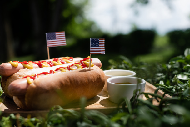 hot dogs with small american flags near ketchup and mustard on green lawn - Photo, Image