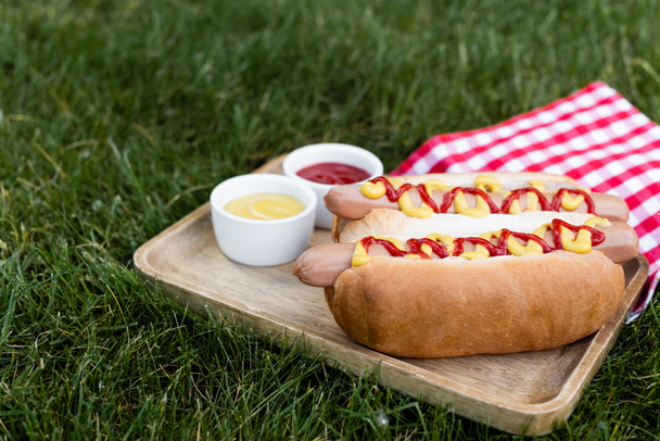 plateau en bois avec bols à sauce et hot-dogs près de serviette de table à carreaux sur pelouse verte - Photo, image