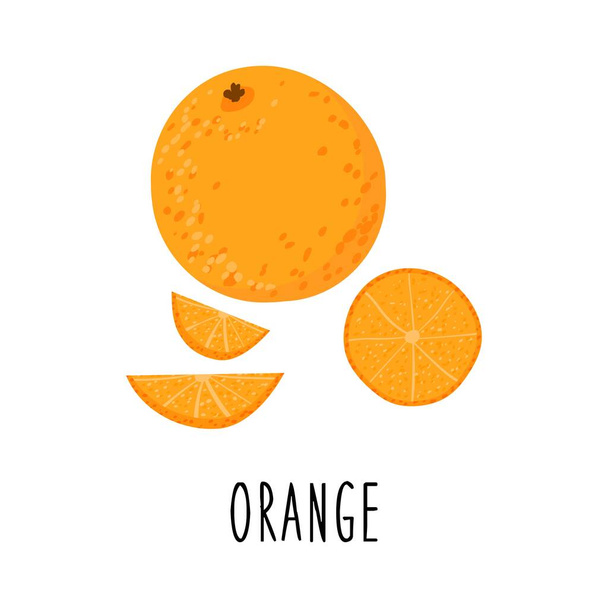 Cute cartoon orange. Orange slices. Drawing for design postcards, print for t-shirts, digital design. Isolated flat vector illustration. - Vetor, Imagem