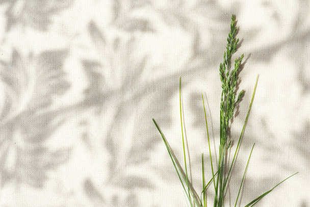 Egy csomó zöld fű egy bézs vászonszöveten, árnyékokkal. borító koncepció notebook, jegyzettömb, könyv - Fotó, kép