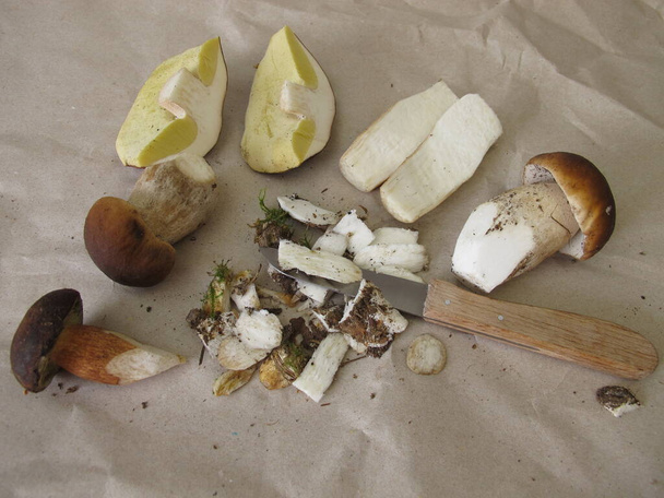 Clean and prepare mushrooms with a knife, porcini and bay bolete - Photo, Image