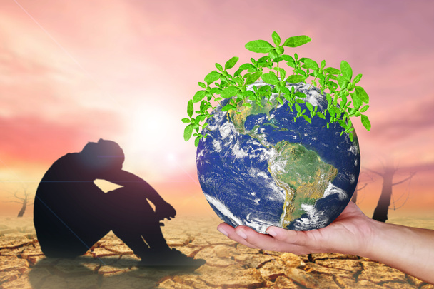The world in the hands of a small tree growing nature conservation concept change to add green spaces to the world , global warming, pollution concepts. element of the picture is decorated by NASA - Photo, Image