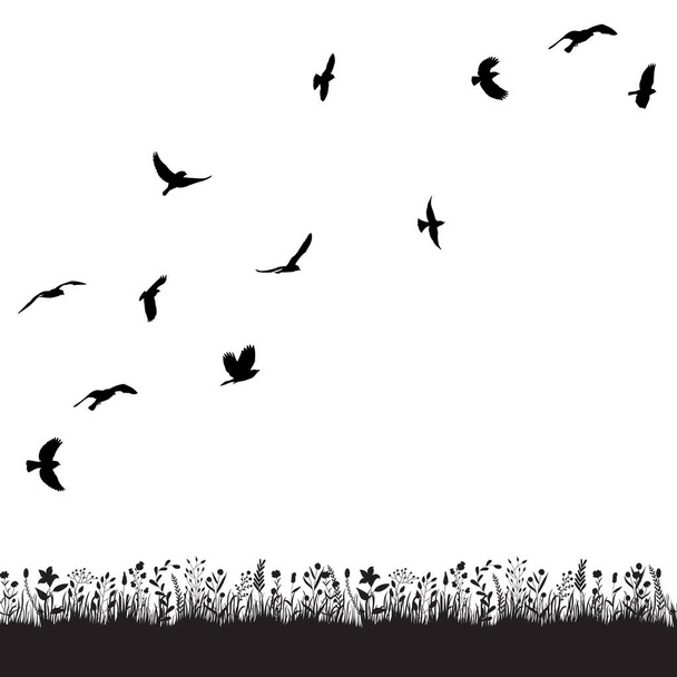 aves volar negro silueta bandada - Vector, imagen