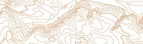 Abstract vector topographic map on white background - Vector, Image