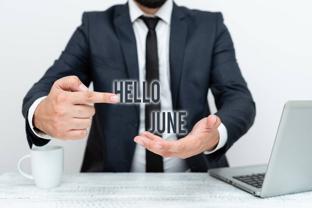 Text caption presenting Hello June. Business overview a new month to plan your activities for fun and adventures Remote Office Work Online Presenting Business Plan And Designs - Photo, Image