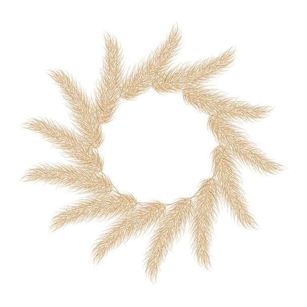 Wreath of pampas dry grass circle boho frame. Branch of pampas grass. Panicle, feather flower head. Border of pampas grass for invitation, decoration. Vector - Vetor, Imagem