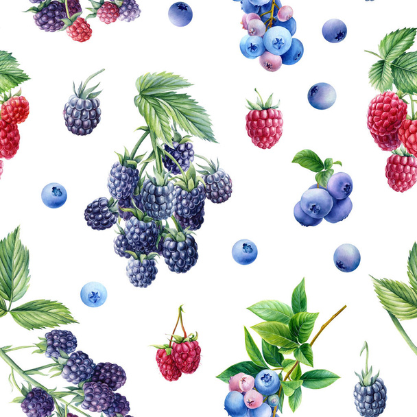 シームレスなパターン、ブラックベリー、ラズベリーとブルーベリーのベリーの背景、水彩植物のイラスト - 写真・画像
