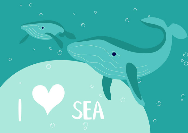 Underwater scene with mother and baby blue whale on aquamarine background - Vector, Image