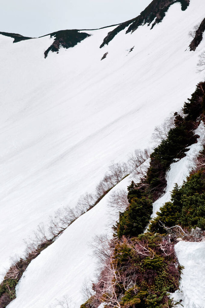 立山黒部アルペンルートの雪の山と高山の木の素晴らしい自然景観- Japan Alps.富山県- Japan - 写真・画像
