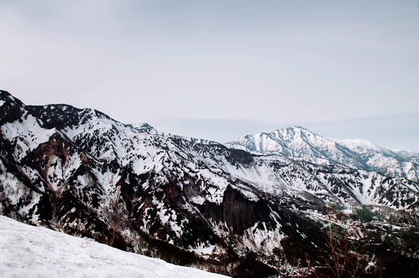 Прекрасный вид на снежную гору и альпийское дерево на альпийском маршруте Татеяма Куробе - Японские Альпы. Toyama - Япония - Фото, изображение