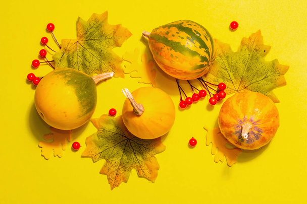 Balkabakları, yapraklar ve böğürtlenlerle sonbahar dekorasyonu. Parlak sarı pastel arkaplan, üst görünüm - Fotoğraf, Görsel
