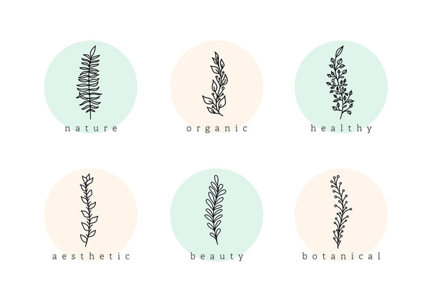 Botanical Minimalist Hand Drawn Floral Logo Elements Vector Set. Natural doodle branches with circle background, template story highlight icon for cosmetics, fashion, yoga. - ベクター画像