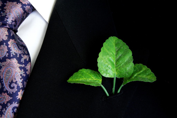 Costume noir, chemise et cravate avec trois feuilles vertes sur revers
 - Photo, image