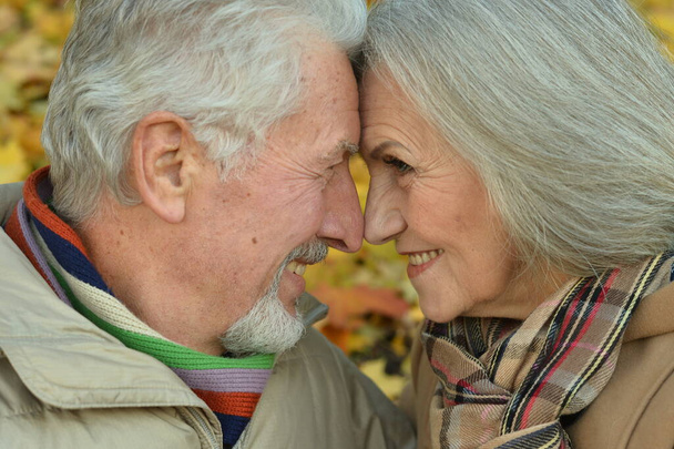 Portrait of senior couple in the park - Foto, immagini