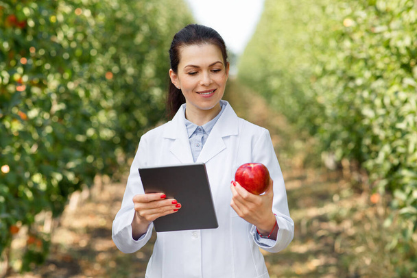 Agronomist checks quality of eco fruits in orchard for juice production - Photo, image
