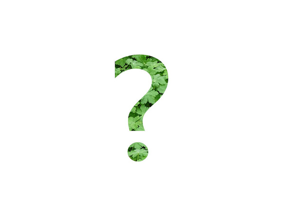 Fragezeichen des Alphabets mit grünem Blatt der Geranienpflanze, isoliert auf weißem Hintergrund - Foto, Bild