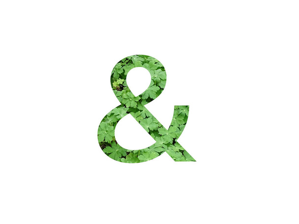 and sign of the alphabet made with green leaf of geranium plant, isolated on a white background - Foto, afbeelding