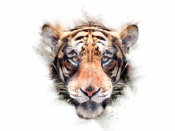 L'animation du tigre. Style aquarelle. - Séquence, vidéo