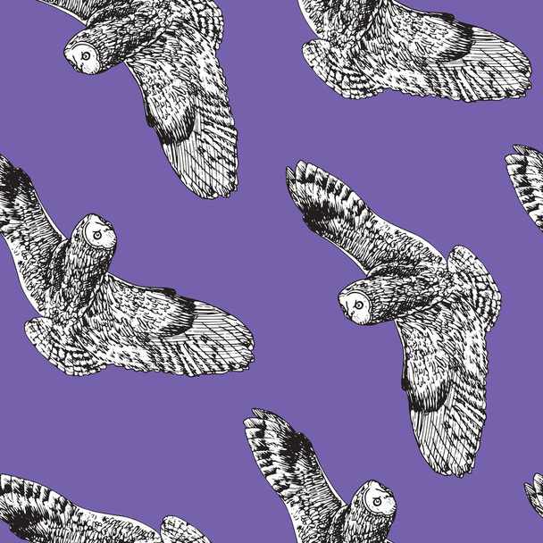 Búho volando, garabato dibujado a mano, boceto en estilo pop art, diseño de patrón sin costuras sobre fondo púrpura - Foto, Imagen