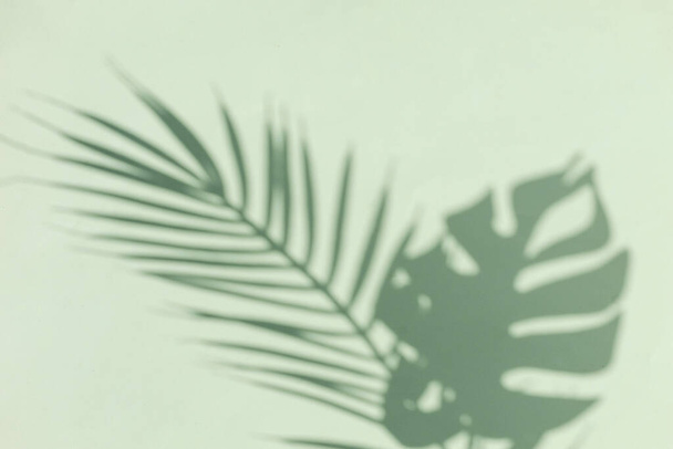 Blurred silhouette of tropical palm and monstera on a green background. Sunny Summer Minimal Concept - Photo, Image