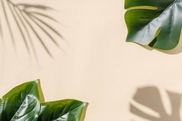Trending image of monstera leaf and blurred shadow of palm tree on pastel background and copy space. - Foto, imagen