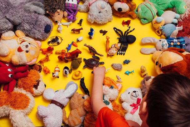 Dětské hračky zvířata pro rozvoj chlapeckých her - Fotografie, Obrázek