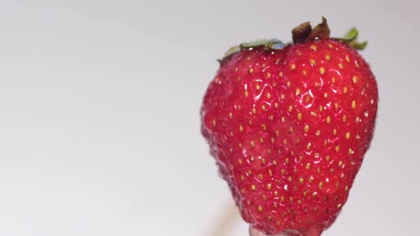 Großes Erdbeerschießen aus nächster Nähe - Filmmaterial, Video