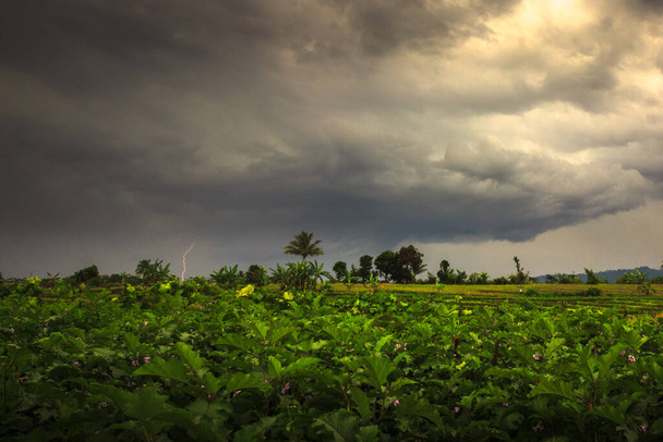 vue sur les collines quand il pleut avec des nuages orageux noirs et des éclairs sur les plantations verdoyantes dans le nord du Bengkulu, Indonésie - Photo, image