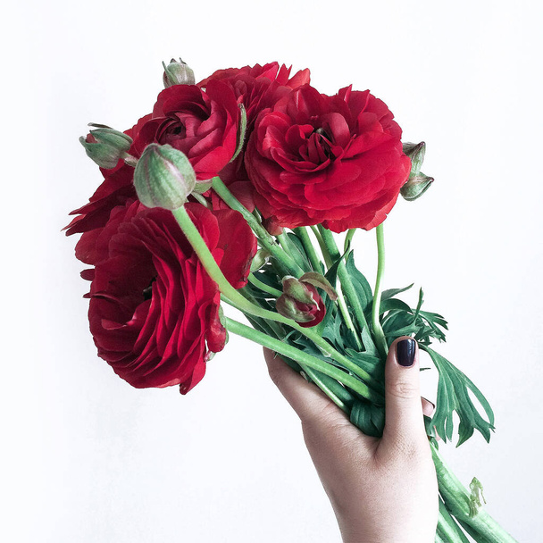 Beautiful red flowers in hand, romantic, green, white background, red, roses. - Fotografie, Obrázek
