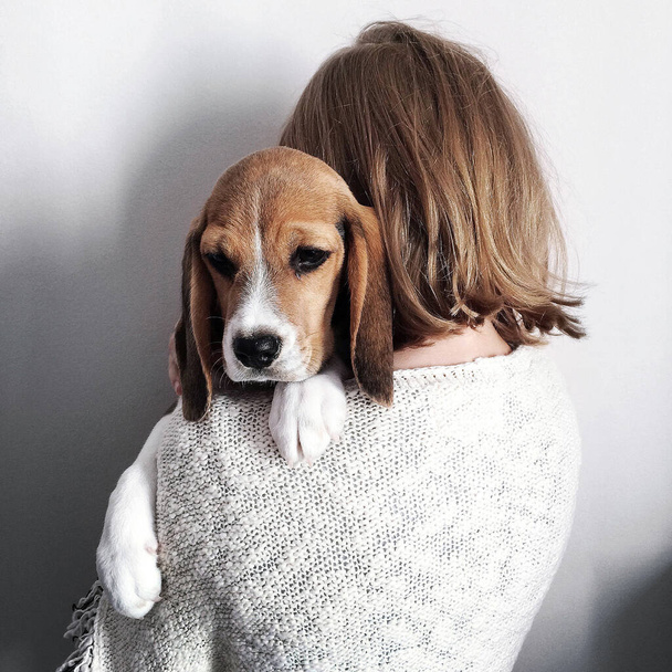 Meisje met hond, echte vriendschap, beagle, puppy. Witte achtergrond, portret, mooie foto. - Foto, afbeelding