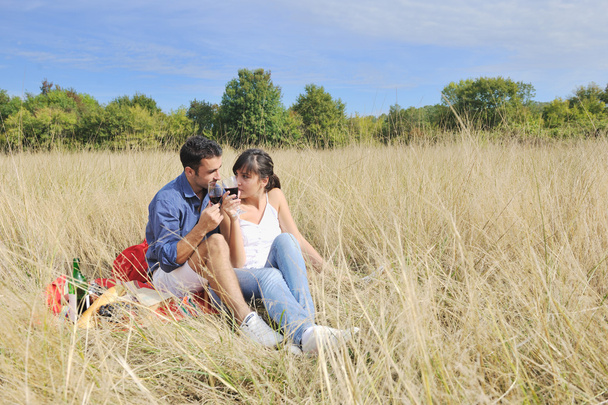 Happy couple enjoying countryside picnic in long grass - Φωτογραφία, εικόνα