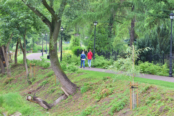 Para zakochanych spaceruje po parku w letni dzień. - Zdjęcie, obraz