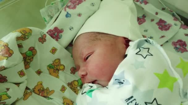Pasgeboren baby in het kraamziekenhuis. De baby is net geboren en hij was omgekleed in schone kleren.. - Video