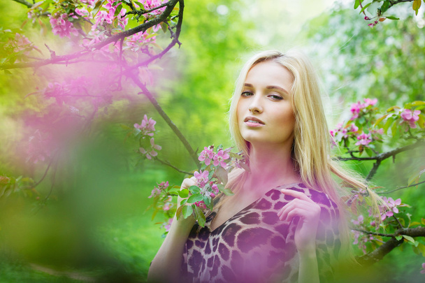 Young attractive woman in blooming spring trees - Foto, Imagem