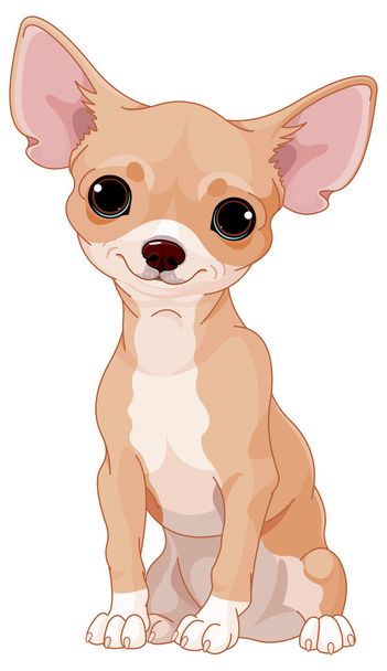 Chihuahua - Vector, afbeelding
