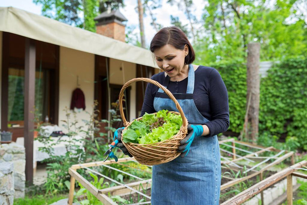 Smiling woman holding basket with freshly harvested lettuce leaves and arugula - Zdjęcie, obraz