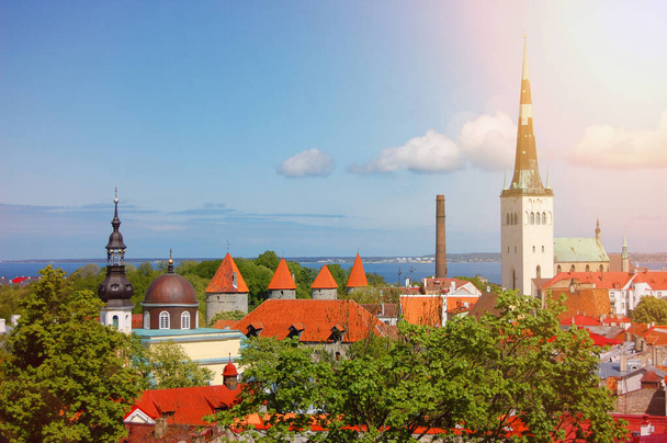 Tallinn, Estland. Historisches Stadtzentrum. Kirche St. Olaf. Sommersonniger Tag - Foto, Bild