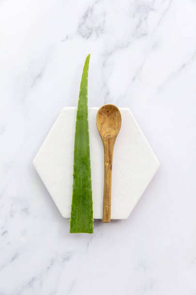 Natural green aloe vera stem health and well being background - Valokuva, kuva