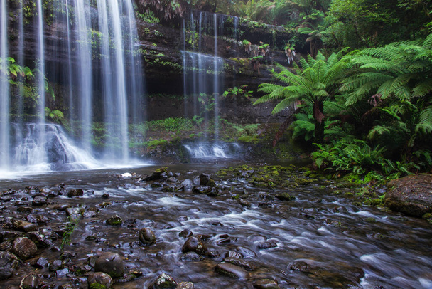 Russell Falls, Tazmanya Avustralya - Fotoğraf, Görsel